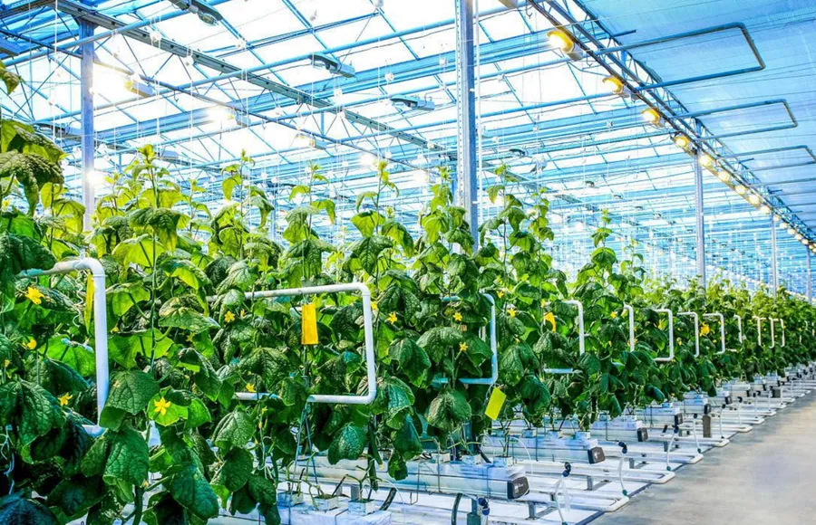 La coordinazione dei misuratori di portata con armadi di controllo quantitativo e registratori di dati nell'irrigazione agricola